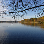 Plants: image 2 0f 16 thumb