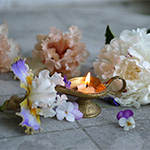 Plants: image 1 0f 16 thumb