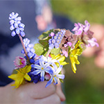 Plants: image 4 0f 16 thumb