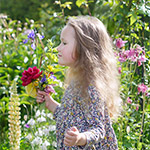 Plants: image 1 0f 16 thumb