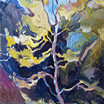 Plants: image 2 0f 16 thumb