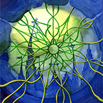 Plants: image 1 0f 16 thumb